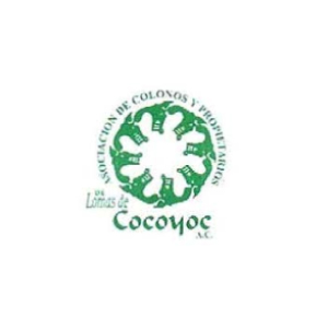 Asociación de colonos de Cocoyoc | Clientes de Mexican Consulting