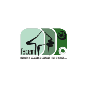 FACEM | Socios Comerciales Mexican Consulting